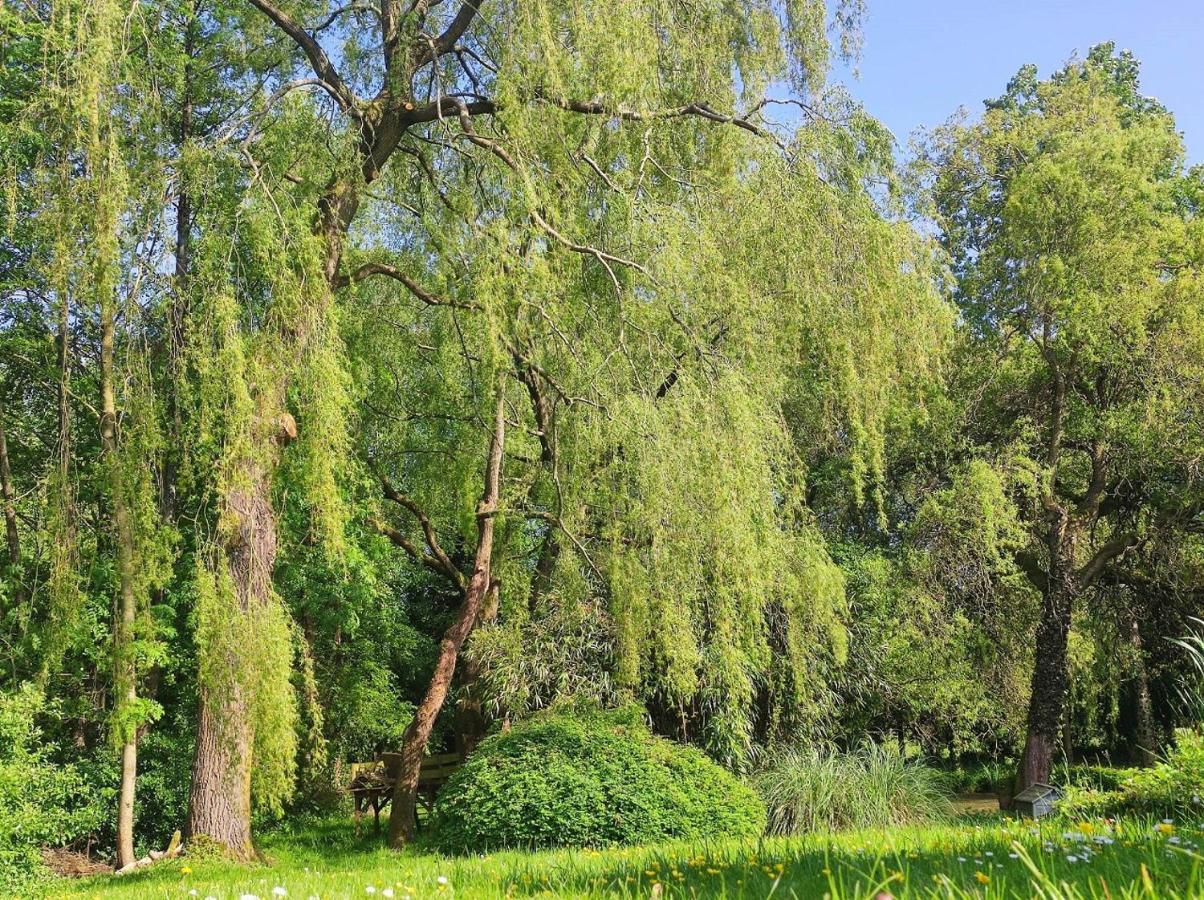 Le Moulin De Benneville Chambres D'Hotes, Petit Dejeuner Compris Cahagnes Εξωτερικό φωτογραφία